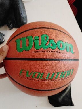 Wilson Orange Basketball with Green Logo
